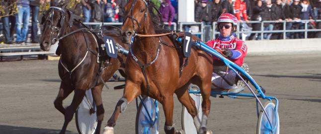 Forsvarer seg helt til m�l