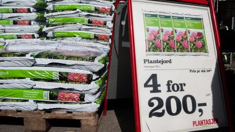 IKKE LIKE BRA SOM KOMPOST: Plantejorden er bedre - og dyrere - enn hagejorden, men ikke like bra som kompostert jord. FOTO: Niklas Hart