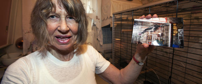 Uro-kr�ke avlivet etter naboklage