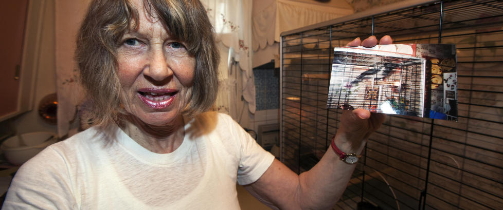 Uro-kr�ke avlivet etter naboklage