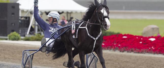 Enorm premiepott i V75