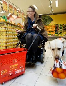 Labradoren Carmen (4) kan både rydde og vaske