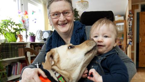 KJ�RLIGHET: Carmen er ikke bare flink til sine mange arbeidsoppgaver, men er en kj�rlig hund som liker b�de store og sm�. Her med Johannas barnebarn, Julian Gr�ns�s-Off p� 1� �r.  FOTO: Anne Elisabeth N�ss