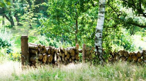 GIR LY FOR VINDEN: Henrik og Flemming har stablet ved i hagen. Det blir til gode, naturlige vindskjermer, og avskjermer ogs� hytta fra veien. FOTO: Tia Borgsmidt