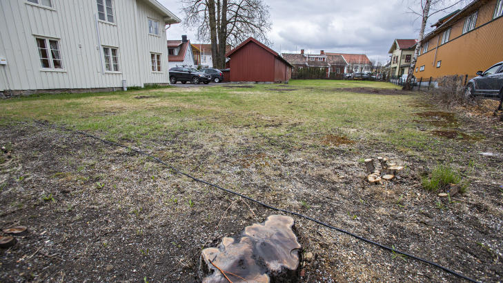 ULOVLIG: Bj�rn D�hlie risikerer en h�y bot for � i vinter ha hogget ned flere vernede epletr�r ved denne tomta i Storgata 3 i Jessheim sentrum. Foto: Torbj�rn Berg / Dagbladet