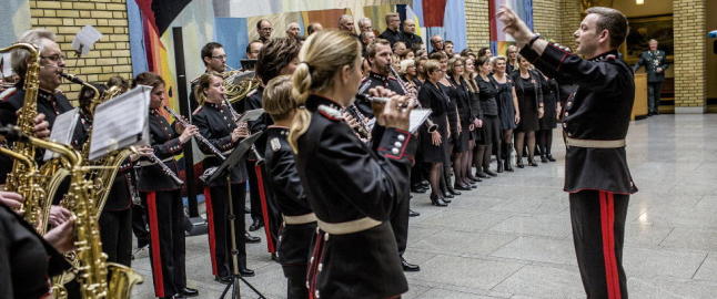 Vaffelnasjonalismen
