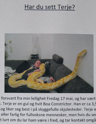 - Jeg har f�tt noen telefoner fra skremte gamle damer for � si det s�nn