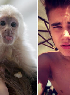 Bieber sviktet apen sin