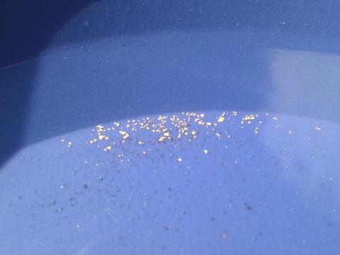 Graver gull i flommen