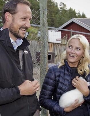 Slottet angriper H�yesterett