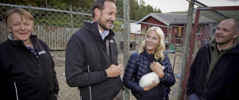 Slottet angriper Høyesterett
