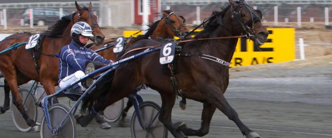 - Ingenting er umulig
