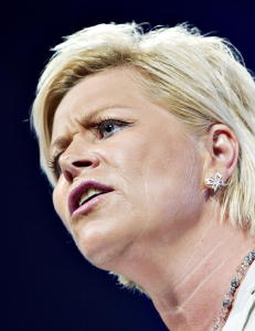 Jensens norske modell