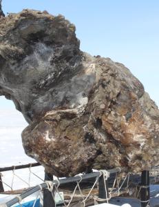 Russiske forskere sier de har gjort et oppsiktsvekkende mammut-funn