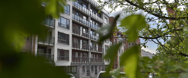 Voldtektssiktet norgesmester mishandlet kona i årevis