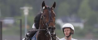 - En grei V75-banker