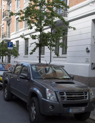 Steinleggerbossene sov i statsr�denes hule