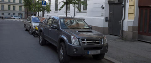 Steinleggerbossene sov i statsr�denes hule
