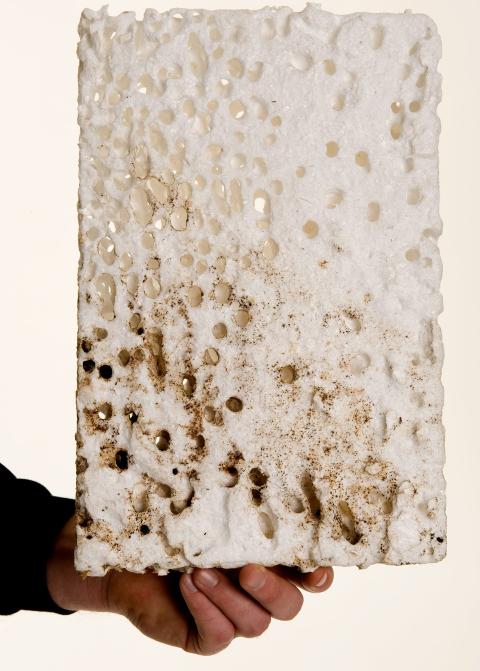 REIR FRA MAUR I BYGNINGSMATERIALER: Når maurene kommer inn i huset på leting etter mat, kan de anlegge reir i bygningsmaterialer. Reirene består av hule rom og ganger i treverk eller isolasjonsmaterialer, vanligvis polystyren. Folkehelseinstituttet skriver at i en uformell rundspørring til de største skadedyrfirmaene nå nylig, ble det i gjennomsnitt anslått at omkring 40 % av alle maurangrep i hus var knyttet til polystyren. Ifølge Tønsberg Skadedyrkontroll er det et økende problem med maur som etablerer kolonier i polystyren under støpt dekke. Foto: Skadedyrkontroll.biz REIR FRA MAUR I BYGNINGSMATERIALER: Når maurene kommer inn i huset på leting etter mat, kan de anlegge reir i bygningsmaterialer. Reirene består av hule rom og ganger i treverk eller isolasjonsmaterialer, vanligvis polystyren. Folkehelseinstituttet skriver at i en uformell rundspørring til de største skadedyrfirmaene nå nylig, ble det i gjennomsnitt anslått at omkring 40 % av alle maurangrep i hus var knyttet til polystyren. Ifølge Tønsberg Skadedyrkontroll er det et økende problem med maur som etablerer kolonier i polystyren under støpt dekke. Foto: Skadedyrkontroll.biz