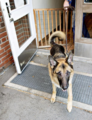 Her blir Wallas (5) hentet i barnehagen