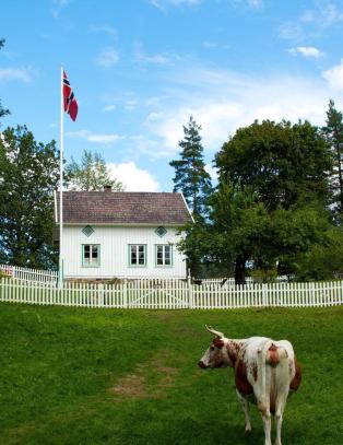Én gårdbruker ville aldri takket ja til ny sesong, mens en annen har måtte rive alt