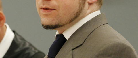 Ville at Seierstad skulle skrive «The Breivik Diaries»