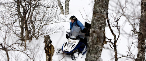 Tillater snøscooterkjøring i 100 norske kommuner