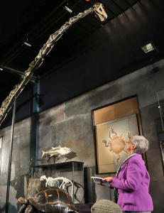 Har du alltid ønsket deg en gigantisk dinosaur?