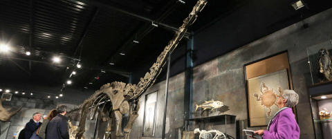 Har du alltid ønsket deg en gigantisk dinosaur?