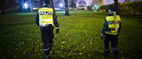 Bør ekte politimenn lese teori?