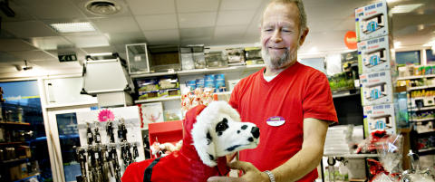 Nå pynter vi dem med løsskjegg, gevir og nissedrakter. Under juletreet ligger hundeøl