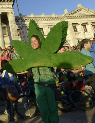 - Uruguays legalisering av cannabis er ulovlig