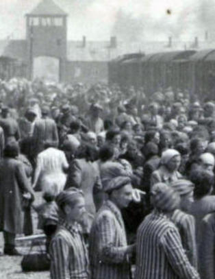 Auschwitz-museet lanserer nettside på arabisk og farsi