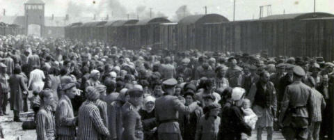 Auschwitz-museet lanserer nettside på arabisk og farsi