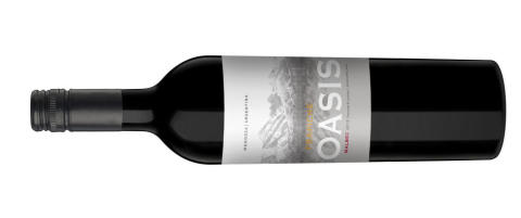 Nå prøver Sør-Amerikas største vinprodusent å bli den beste