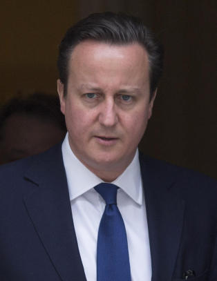Cameron vil styre Storbritannia aleine