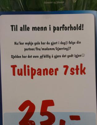 «Til alle menn i parforhold: Sjelden har det vore så billig å gjøre det godt igjen»