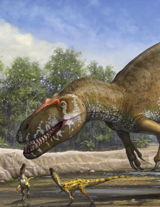 Fossiler fra en fem tonn tung dinosaur oppdaget i Portugal