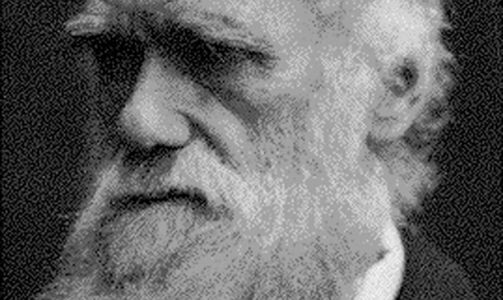ARTENES OPPRINNELSE:  Darwin ble delvis latterliggjort etter at han utga boka Artenes opprinnelse for 149 �r siden. N� f�r han en offisiell unnskyldning. Foto: Scanpix.