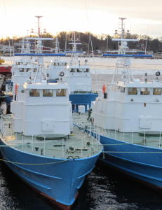 - Det er ingen tvil om at han har blod på hendene