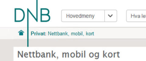 Nye problemer for DNBs nettbank