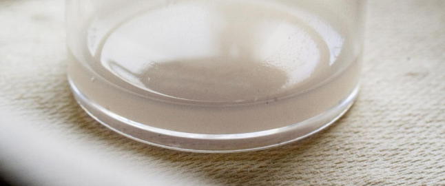 Bioteknologirådet vil tillate sædvask