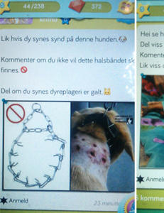 - Små barn deler bilder av sultende barn og mishandlede katter med utstoppede øyne