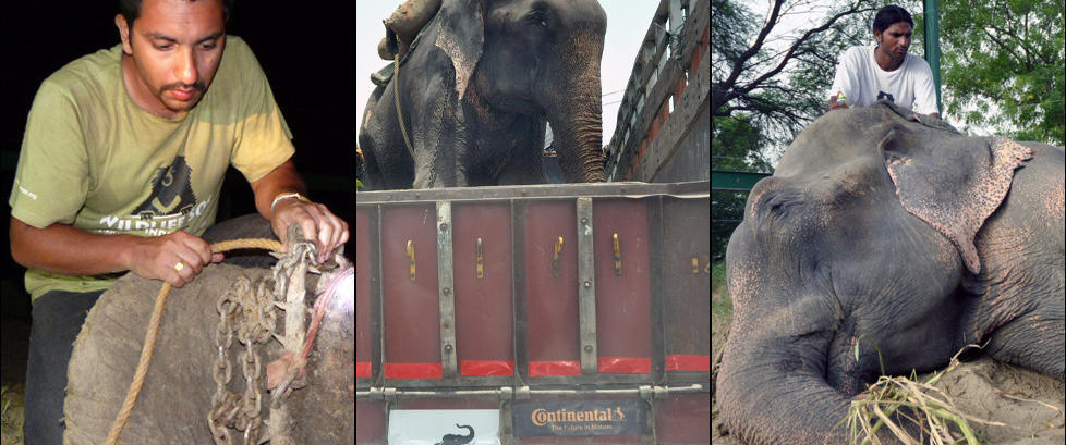 Raju gråt tårer da han ble reddet etter 50 år med nagler, lenker og juling