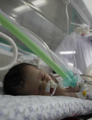 226 barn er drept på Gazastripen. Shaymaa (3 dager) overlevde etter å ha blitt forløst med keisersnitt fra sin døde mor