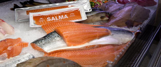 Frykter for laksen uten Sjømatrådet