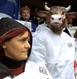 AKTIVISTER: Gaia-dyrevernere protesterer utenfor det belgiske landbruksdepartementet i 2001. Den gang protesterte de mot nedslaktingen av dyr p� grunn av munn- og klovsyke. Foto: Thierry Roge/Reuters