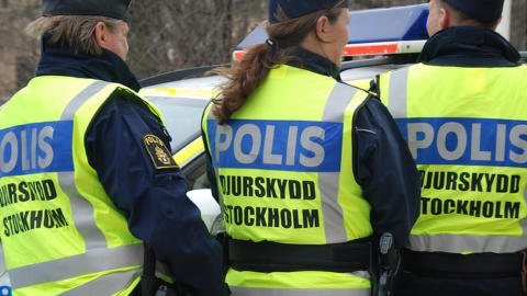 nyheter innenriks dyrevern her er norges foerste dyrepoliti a nyheter innenriks dyrevern her er norges foerste dyrepoliti a