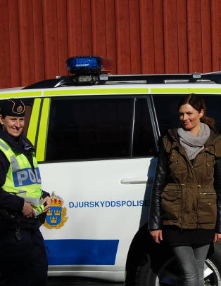- De får det til i Sverige, så hvorfor skal vi ikke få det til i Norge?