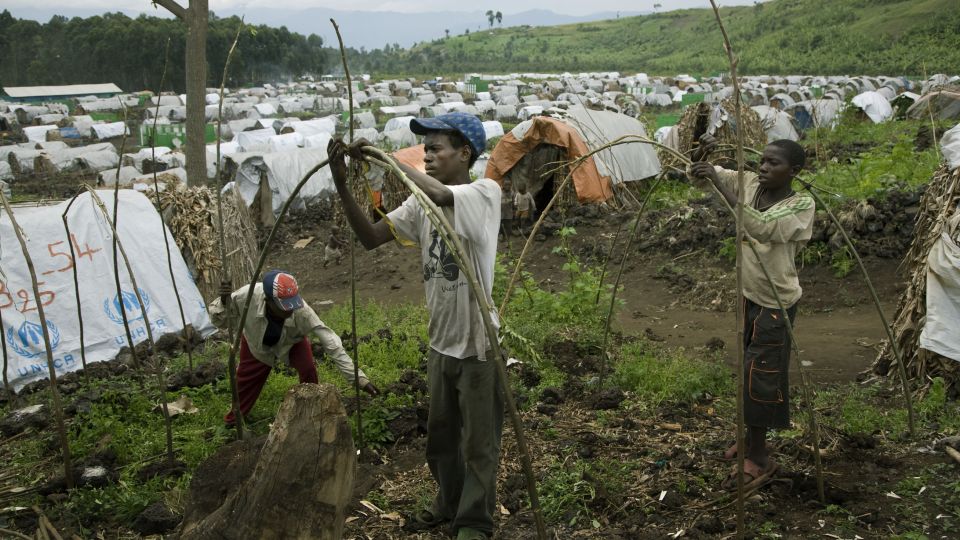  FORTVILT: Situasjonen i det �stlige Kongo har blitt betraktelig forverret etter at nye kamper blusset opp i slutten av august. N�rmere 150 000 mennesker ble fordrevet etter de siste kampene, og i dag er �n million mennesker p� flukt i provinsen. Flyktninghjelpen driver fire leirer rundt Goma, og i leiren Mugunga 1 utenfor Goma lever i dag 21 000 fordrevne, men tallet �ker daglig. Rasjonene er halvert siden mai, en familie f�r i dag �tte pakker kjeks i uken � leve p�. Foto: Truls Brekke/Flyktninghjelpen / SCANPIX  HANDOUT